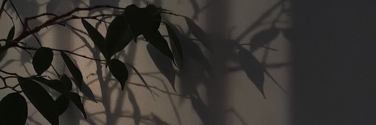 Aaron Aberasturi's banner