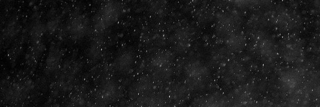 Raven's banner