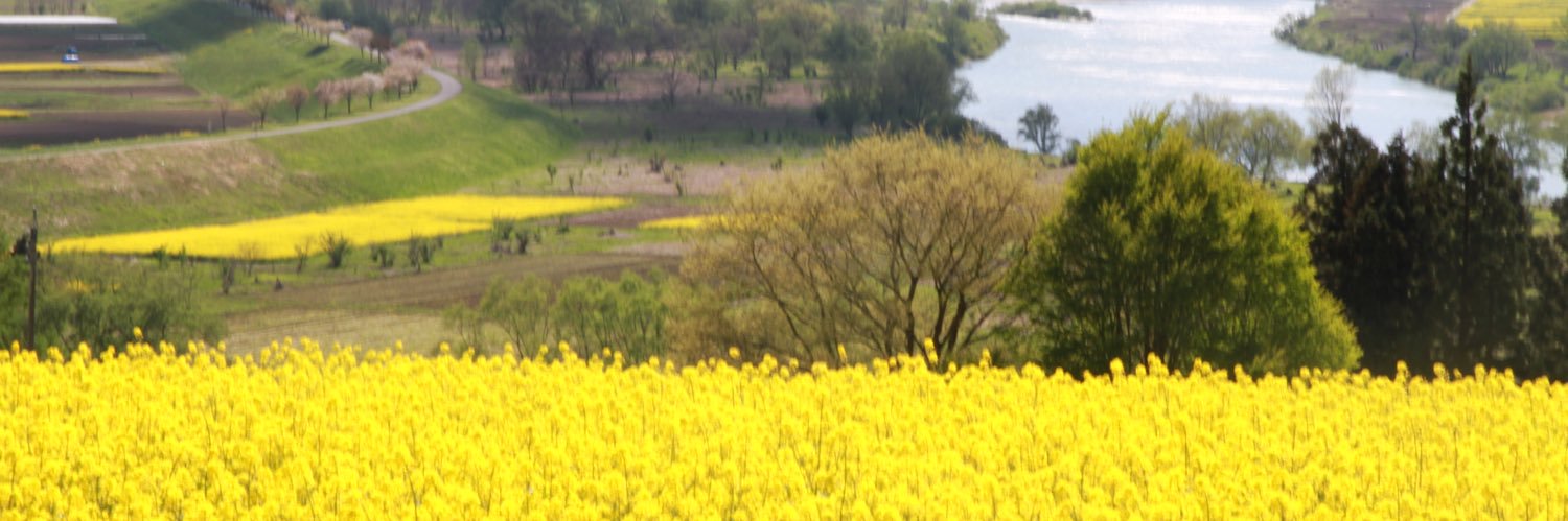 ケンタロー　RICE◯中道CRA's banner