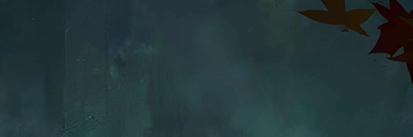 ✩'s banner