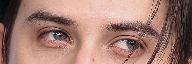La Frente de Sigrid's banner