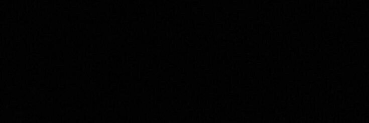 camis's banner