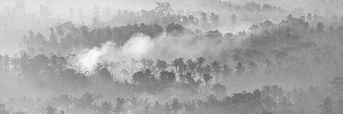 饺饺's banner