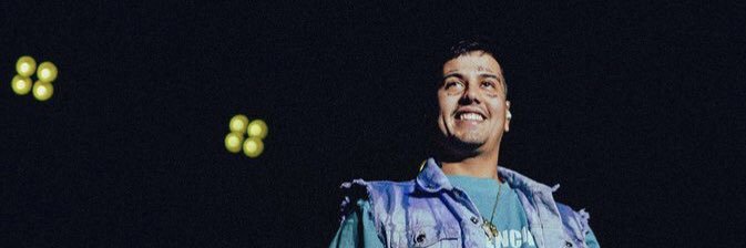 vale's banner