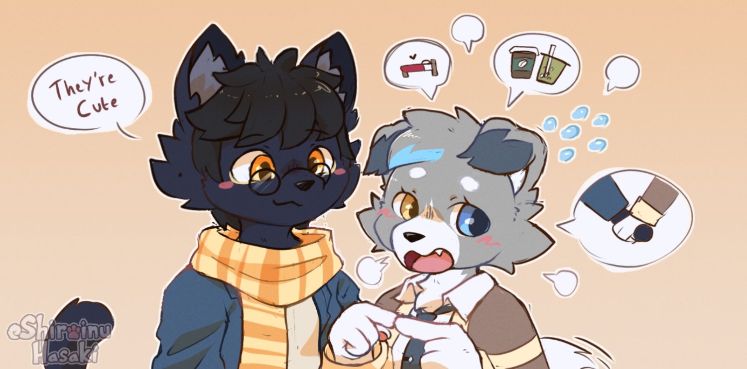Hasaki 🦋's banner