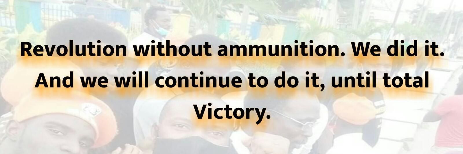 Liberate Africa's banner