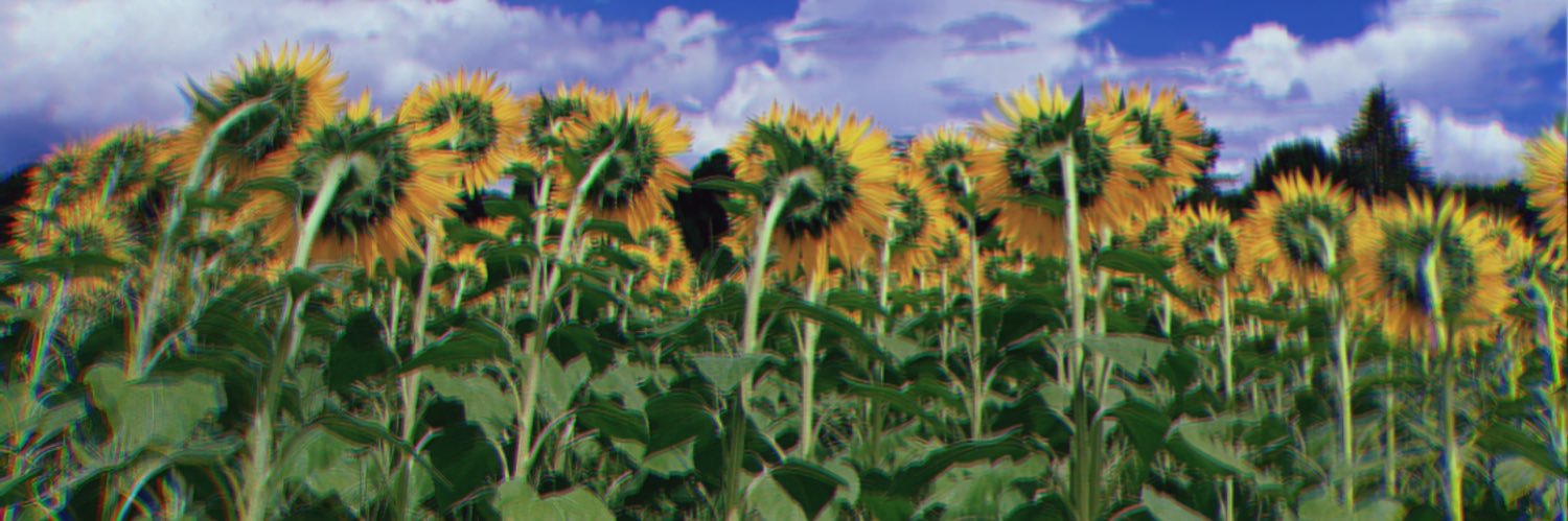 TKG(ごぼう)'s banner