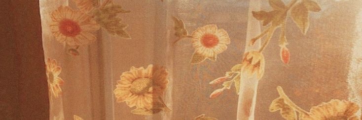 ꜱᴇʀ 🍯's banner
