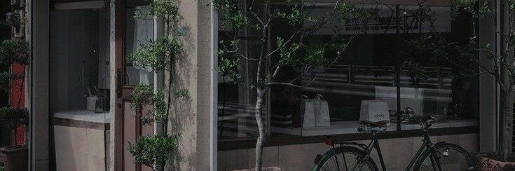 fin¹'s banner