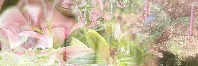 · neen₊˚🏹 🎀 is showing up's banner