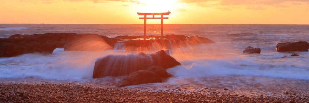 諸岡武士🧢（ごっち）'s banner