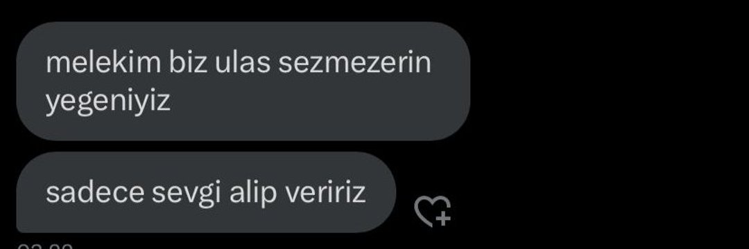 ulaş's banner