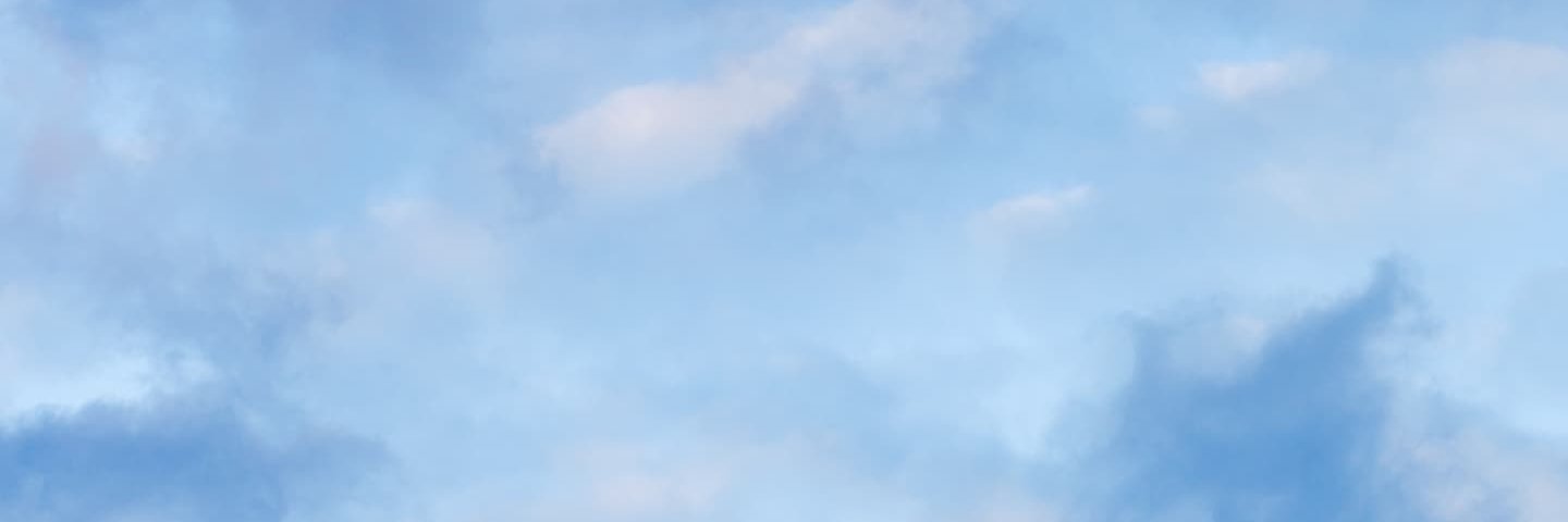 realdietsmoke's banner