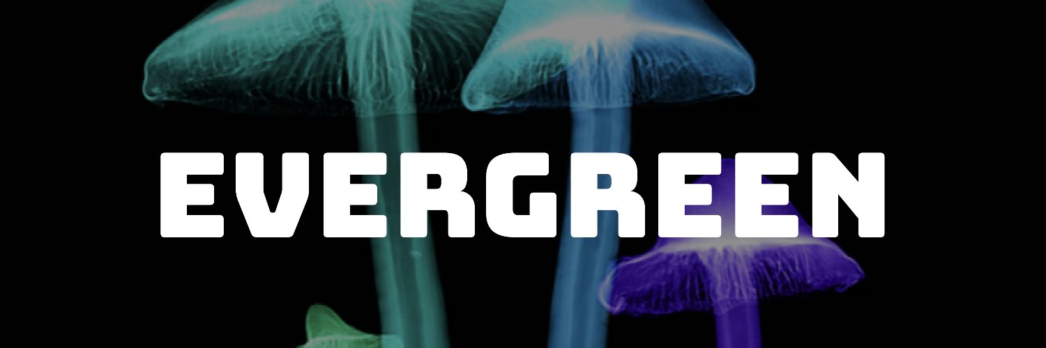 Evergreen🌲🌱's banner