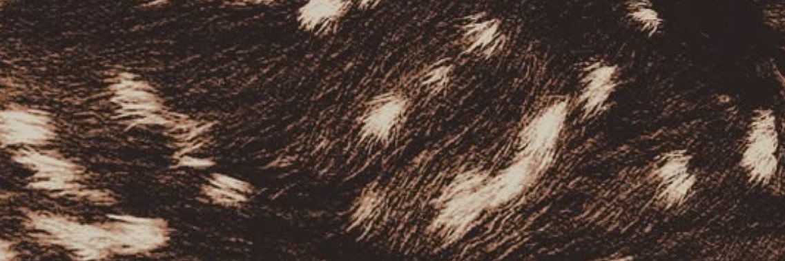cecelia ꕤ 🐮's banner