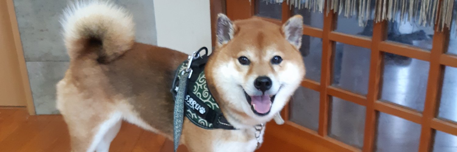 胡麻柴マサル's banner