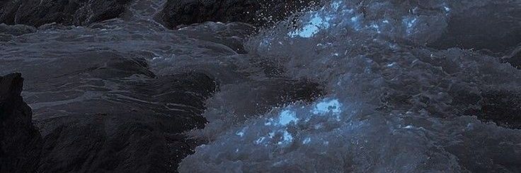 𝔳ê𝔱𝔢𝔪𝔢𝔫𝔱𝔰 𝔢𝔰𝔱𝔥é𝔱𝔦𝔮𝔲𝔢𝔰 ˙⋆✮'s banner