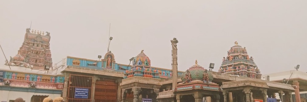 🕊️'s banner