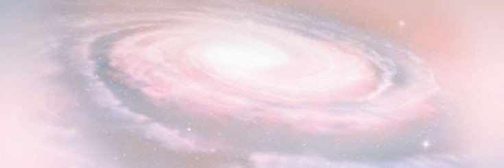 tara🌸's banner