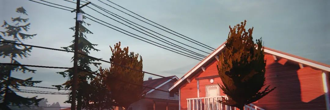 CrazySnuft's banner