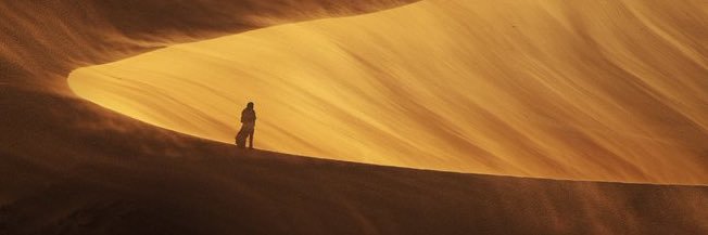 Dune France's banner