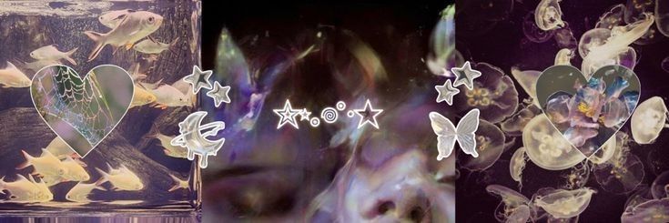 yell𖦹w's banner