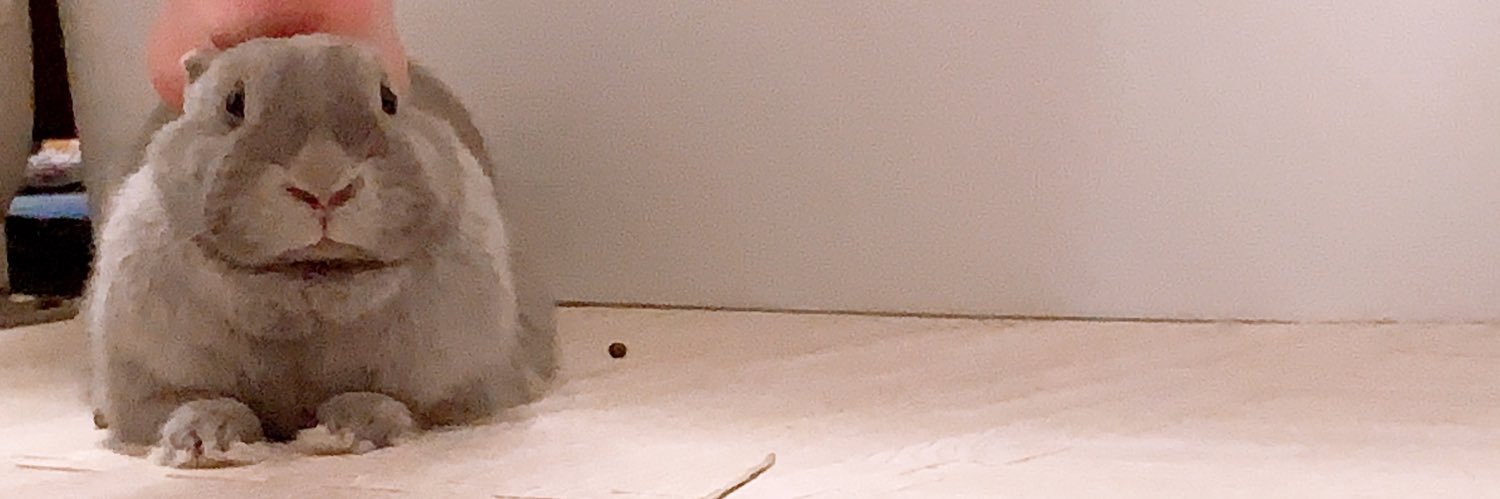はるはる's banner
