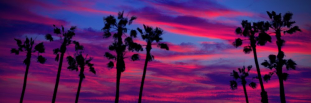 Chillvester's banner