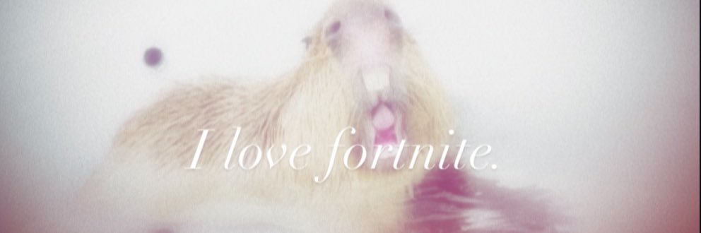 ︎︎ ‏ً's banner