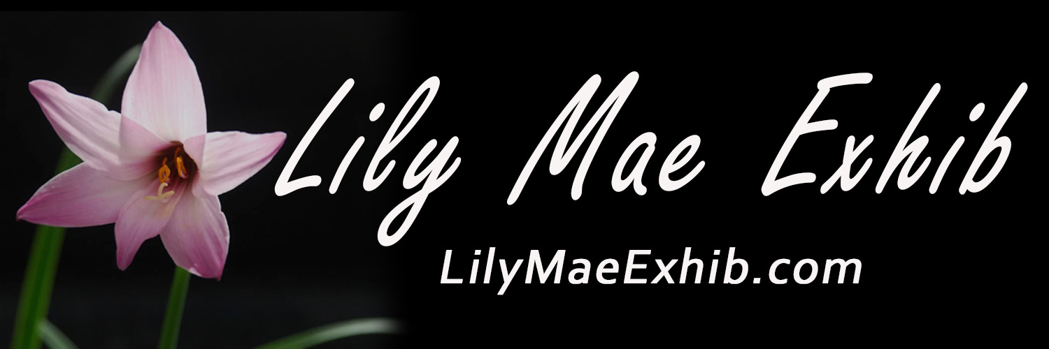 LilyMaeExhib's banner