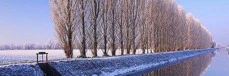 021Qins's banner