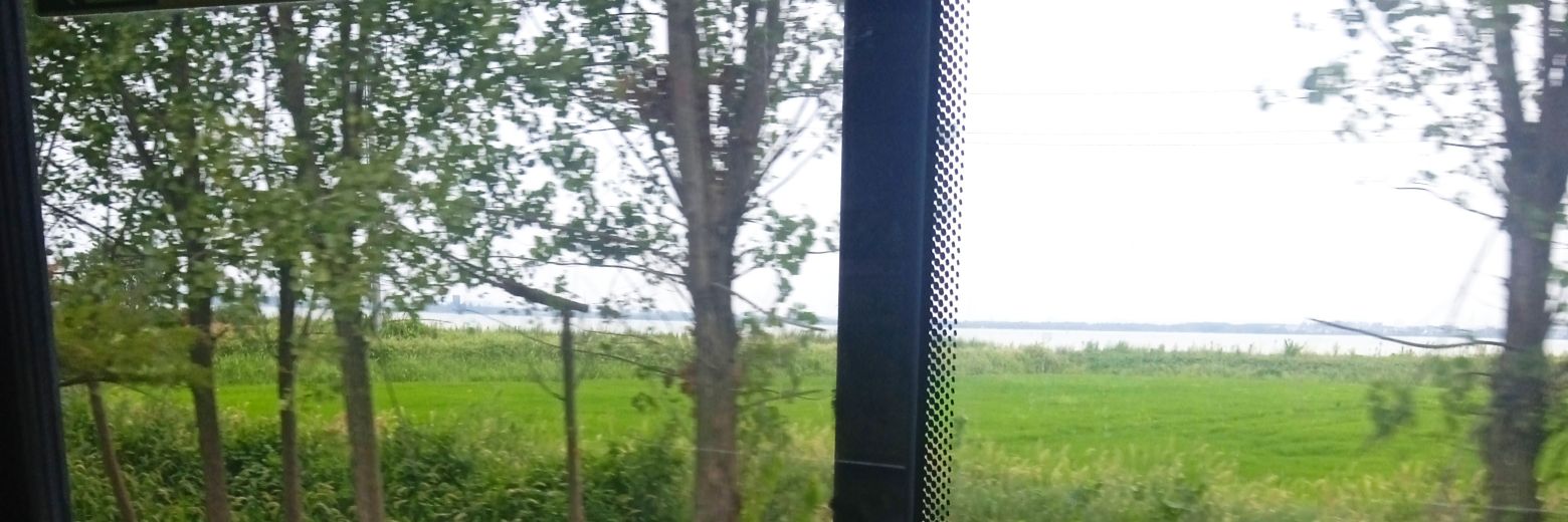 一般通过阿燐's banner