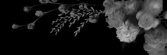 𝓜𝓪𝓻𝓽𝓲𝓷𝓮𝔃 ⏐ sezon era's banner