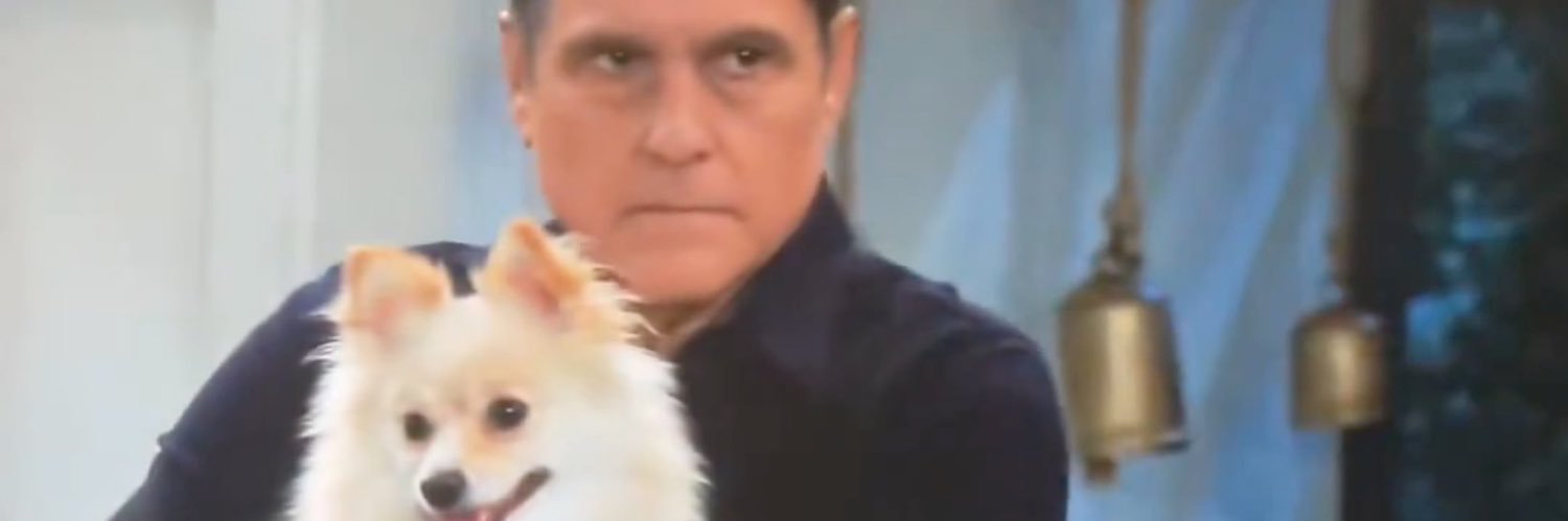 Port Misery: Sonny’s Dog Sitter's banner