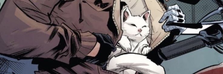 michalina 🐀's banner