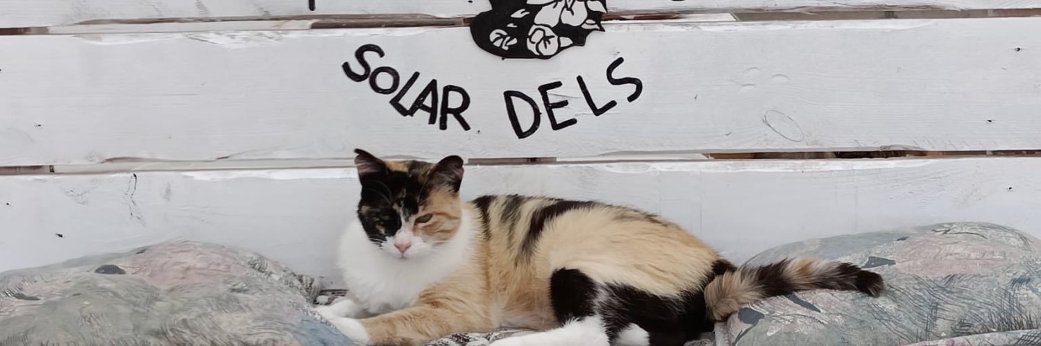El Solar dels Gats's banner
