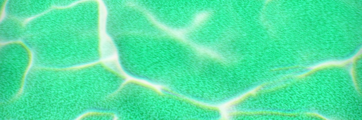 CRAMiRO's banner