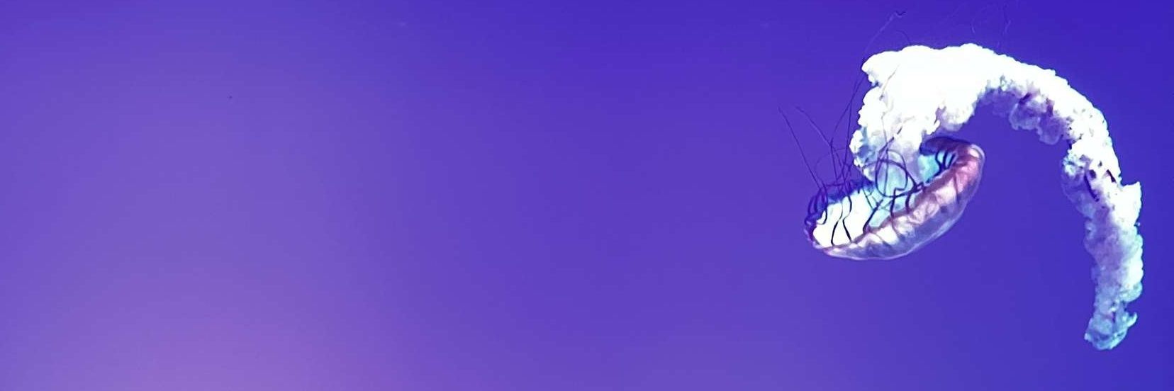 JustANormalGay's banner