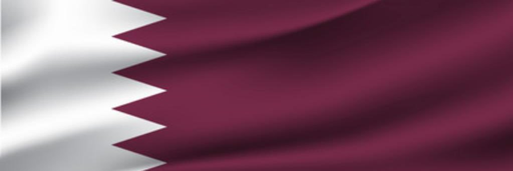 الزعيم's banner