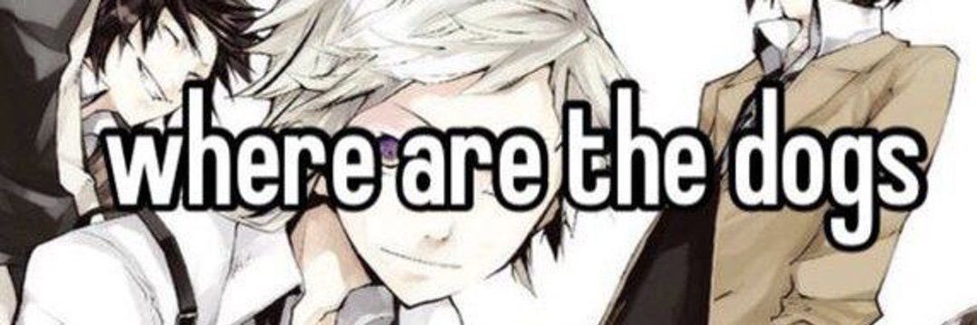 oisín ⚢'s banner