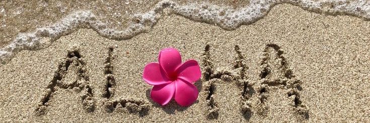 𝐑|✿'s banner