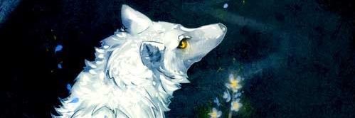 白夜's banner