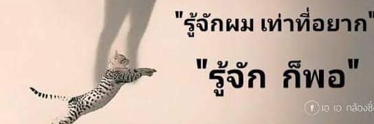 มีตัวตน แค่ไม่เปิด.'s banner