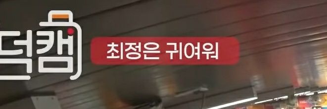 찡's banner