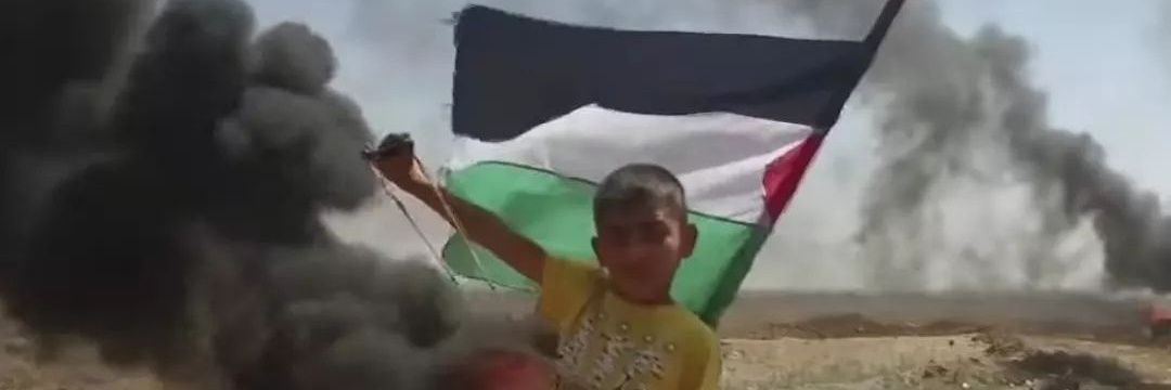 Brandon 🇵🇸's banner