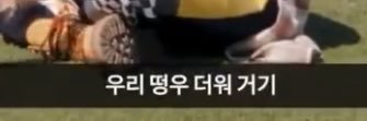 젤리's banner