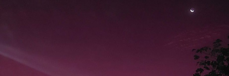 Bastián Vol 2's banner