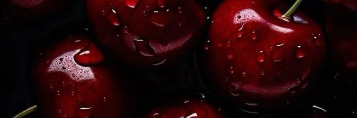 ☽⋆𝕬𝖗𝖎𝖊𝖘🌙's banner
