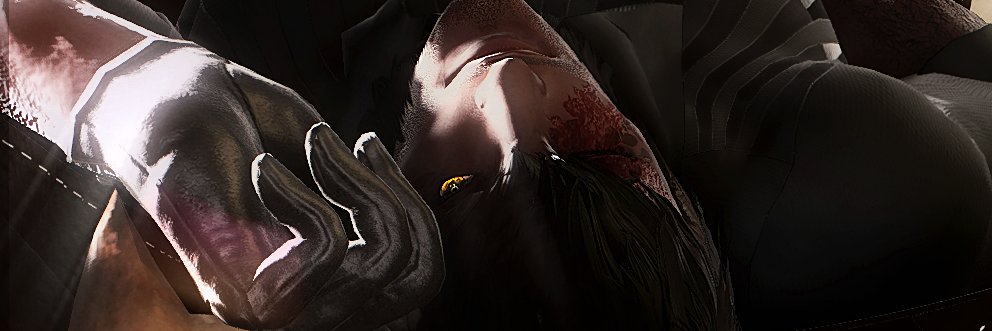 I R A's banner