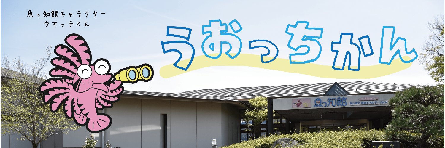 魚っ知館のしいくいん🦭🐧🧹🪣's banner